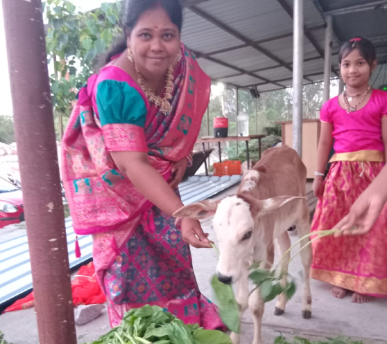 GO SEVA & FOOD DISTRIBUTION